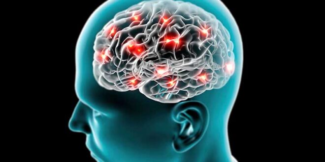 ayurvedic-treatment-for-brain-disease